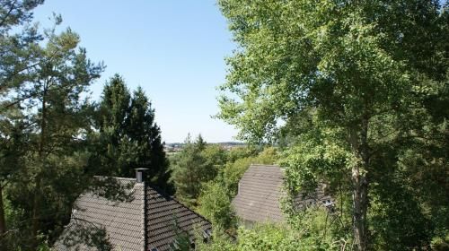 Outdoor Pictures 23