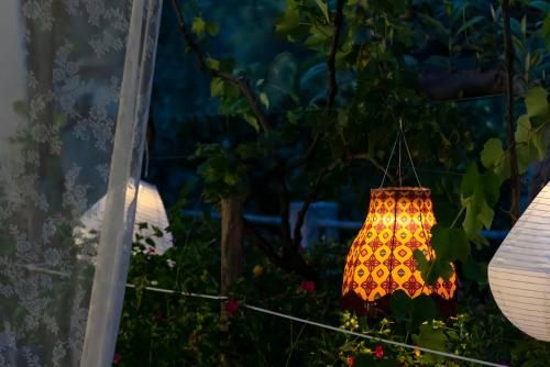 Outdoor Pictures 8