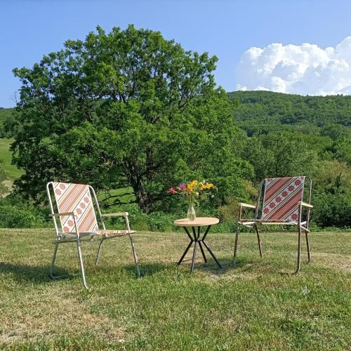 Outdoor Pictures 6