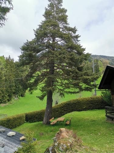 Outdoor Pictures 7