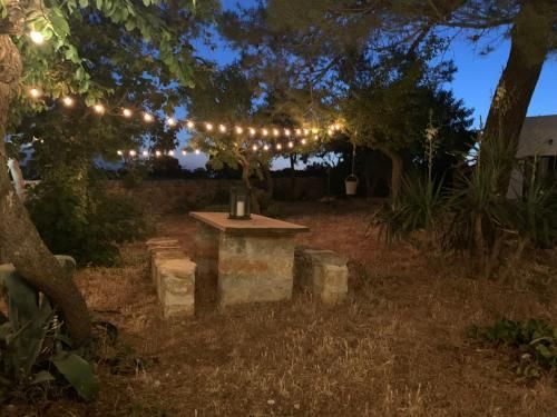 Outdoor Pictures 9