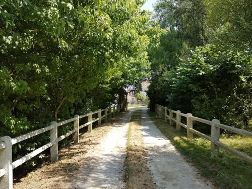 Outdoor Pictures 9
