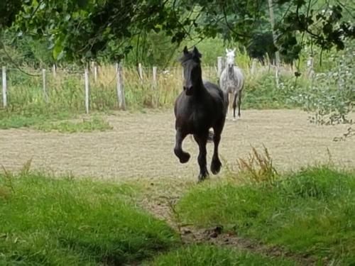 Outdoor Pictures 15