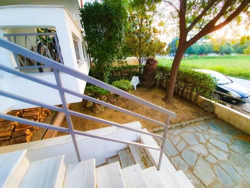 Outdoor Pictures 6