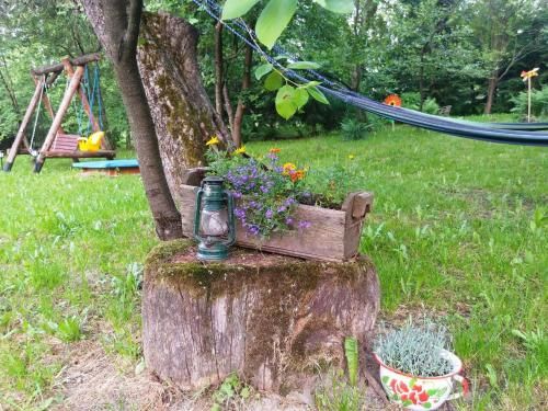 Outdoor Pictures 23