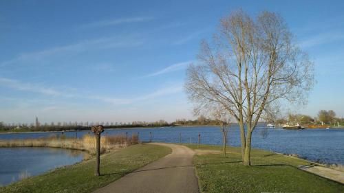 Outdoor Pictures 24