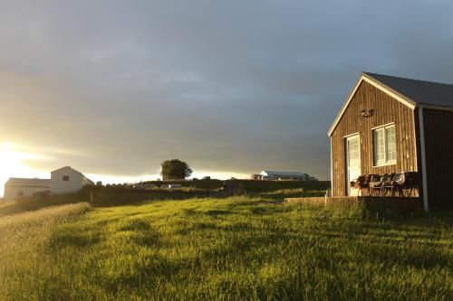 Outdoor Pictures 8