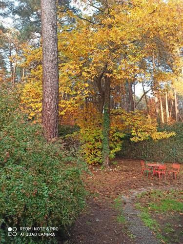Outdoor Pictures 1