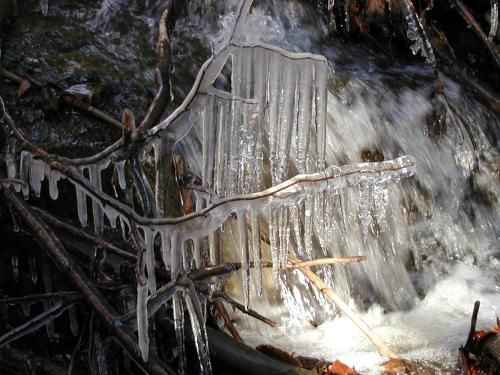 Outdoor Pictures 4