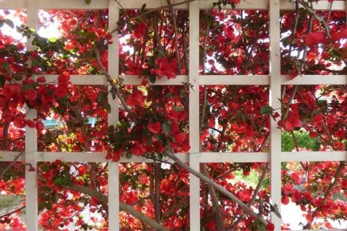 Outdoor Pictures 15