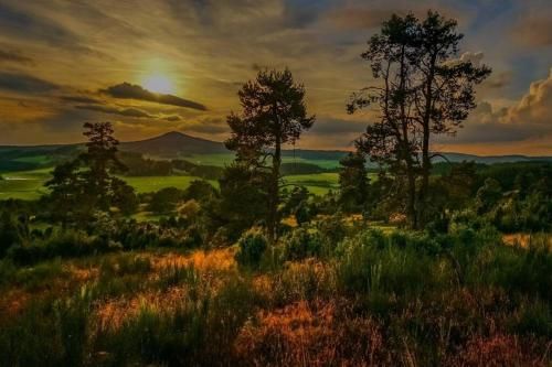 Outdoor Pictures 24