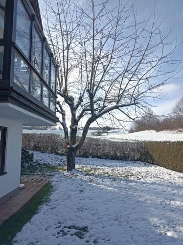 Relaxen vor den Toren Bambergs