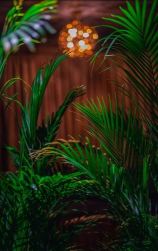 Outdoor Pictures 22