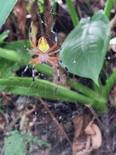 Outdoor Pictures 23