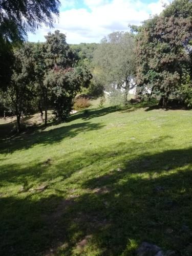 Outdoor Pictures 4