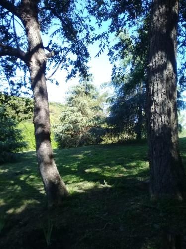 Outdoor Pictures 5