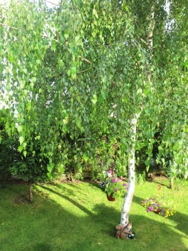 Outdoor Pictures 9