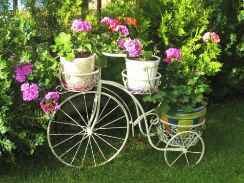 Outdoor Pictures 10