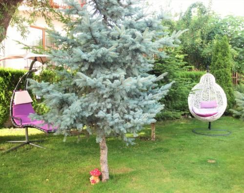 Outdoor Pictures 7