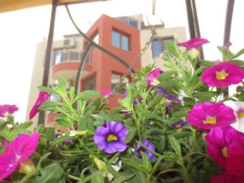 Outdoor Pictures 13