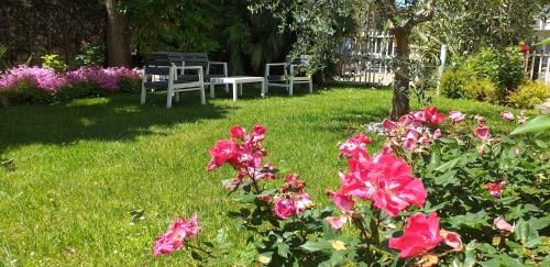Outdoor Pictures 24