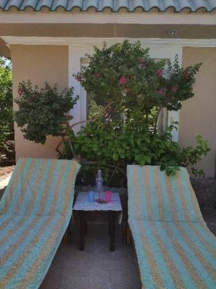 Outdoor Pictures 8