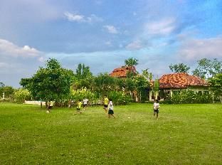 Outdoor Pictures 20