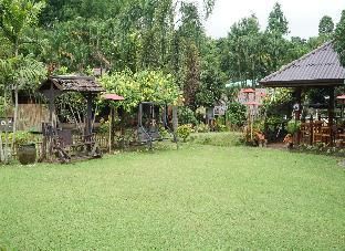 Outdoor Pictures 7