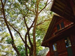 Outdoor Pictures 9