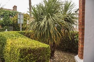 Outdoor Pictures 9