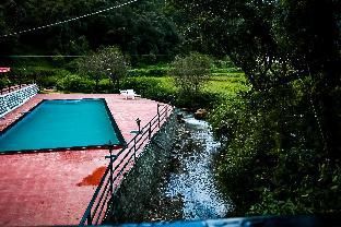 Outdoor Pictures 15