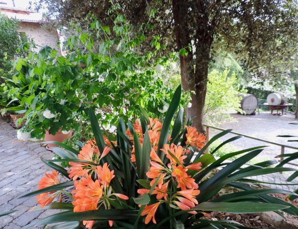 Outdoor Pictures 9