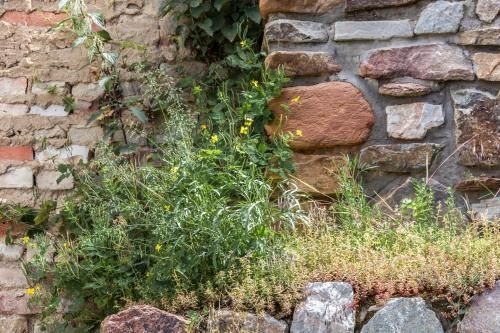 Outdoor Pictures 15