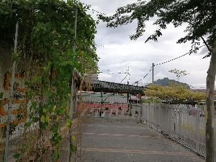 Outdoor Pictures 14