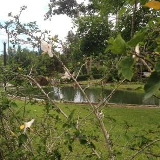 Outdoor Pictures 7