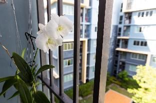 Outdoor Pictures 11