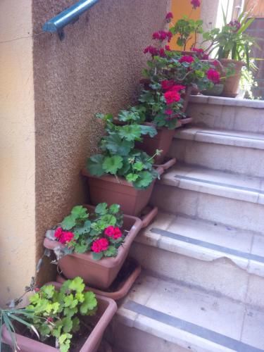 Outdoor Pictures 9