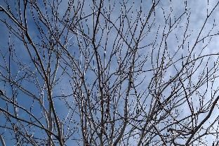 Outdoor Pictures 11
