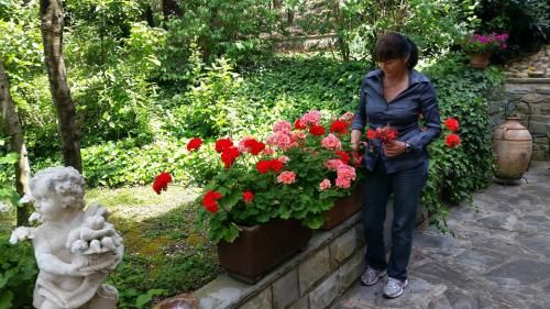 Outdoor Pictures 21