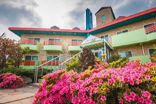 Hotel Image 6