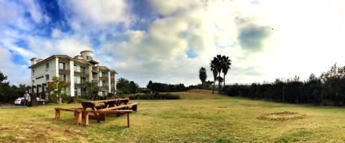Outdoor Pictures 23