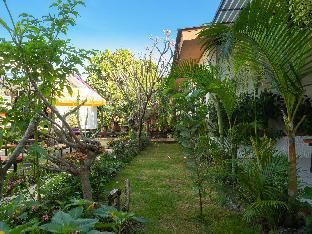 Outdoor Pictures 9