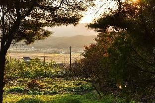 Outdoor Pictures 14