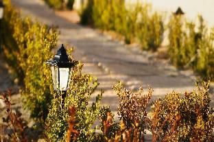 Outdoor Pictures 7