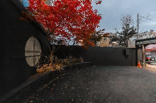 Outdoor Pictures 12