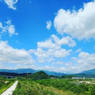 Yangyang Blue Ara Pension
