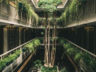 Hotel Image 5