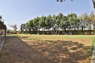 Outdoor Pictures 15