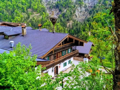 Outdoor Pictures 21