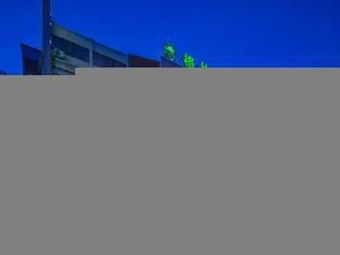 Outdoor Pictures 19
